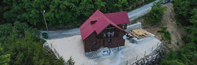 Khác DIAMOND TREE HOUSE