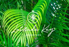 Others 6 Suite by Beach Waterfront Lago Key Three