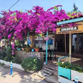 Primary image1Umayra Otel,托尔巴海滩飯店