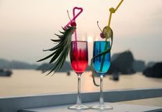 Others 5 Alisa Cruise Halong