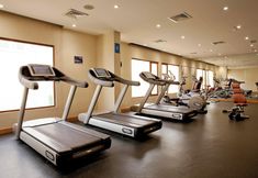 Others 7 Golden Tulip Muscat