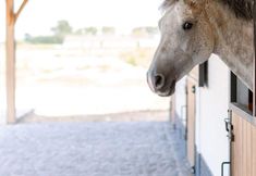 其他 4 Tosca - Lovely Double Room at Ranch De Blauwe Zaal