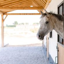 其他 4 Tosca - Lovely Double Room at Ranch De Blauwe Zaal