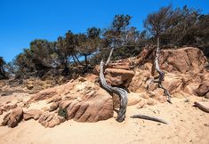 Khác 7 Residence I Mirti n. 25