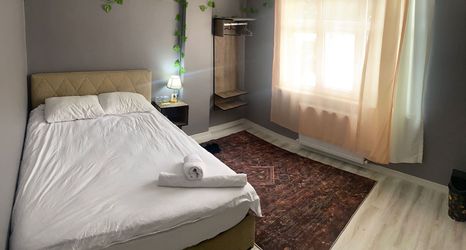 Others 2 Airport Forest Room