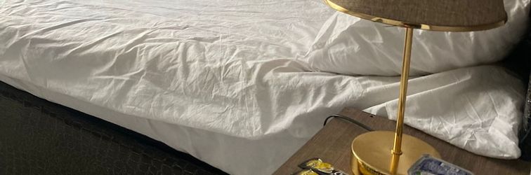 Others Airport Forest Room