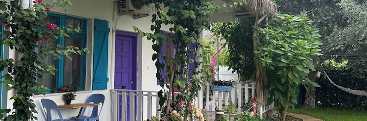 其他 Gaya Pansiyon