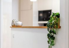 Lainnya 6 Gaia23 · Lovely 2-bed w/ Parking Amazing View