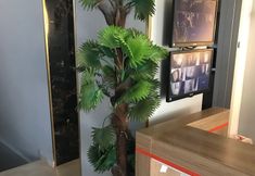 其他 2 My Life Otel