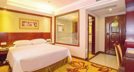 その他 2 Vienna Hotel (Shenzhen Dongmen Guomao Metro Station)