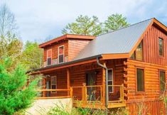 其他 5 Pigeon Forge I Hot tub I Theatre I Walk to Parkway