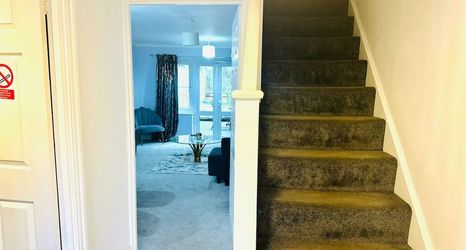 Others 2 Twist of Tranquility in Rochester