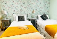 Others 3 Twist of Tranquility in Rochester