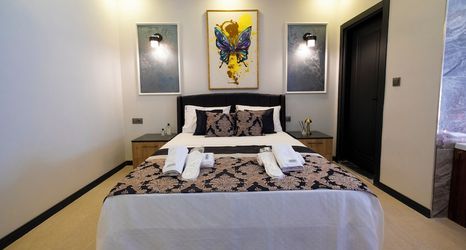 其他 2 Adresim Sapanca Boutique Hotel