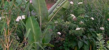 その他 6 Karangura trekkers eco camp