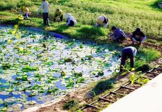 その他 4 Thanh Chiem Village