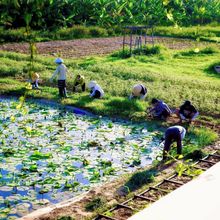 その他 4 Thanh Chiem Village