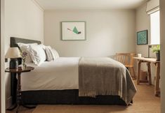 其他 7 The Great Bustard