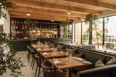 其他 The Great Bustard