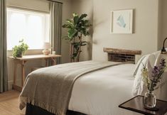 其他 3 The Great Bustard