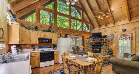 其他 2 Bear Secrets