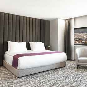 Primary image1Lilium Hotel & Suites,布尔萨技术大学飯店