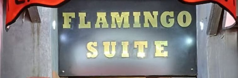 その他 FLAMİNGO SUİT