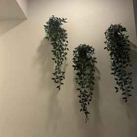 Primary image 1 ホスタル セントロ デ マドリード プラザ デ エル ソル, アルカラ・デ・エナレス ホテル