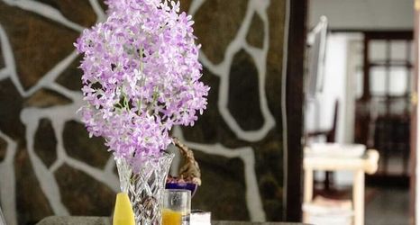 기타 2 Pousada da Mércia