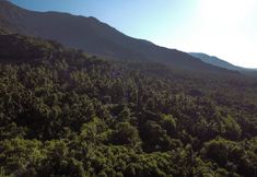 Others 5 Kailash Lodge