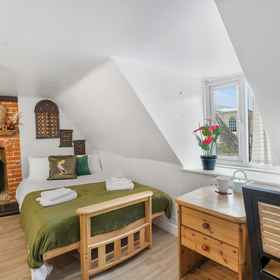 Primary image 1 三卧室市中心公寓, 唐布里奇和马灵区 酒店