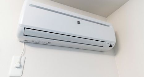 其他 2 NESTLE ALPHA S7W8 402