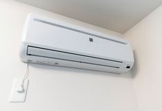 기타 2 NESTLE ALPHA S7W8 402