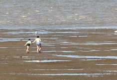 その他 3 Seaside Escape Haven in Isle of Sheppy