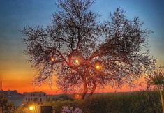 其他 5 Taş Konak Eski Datça