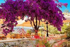 其他 Taş Konak Eski Datça