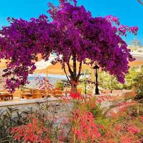 Primary image 1 Taş Konak Eski Datça, Datça Port Hotels