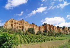 Others 7 Palagio 12 in Chianti With Shared Pool