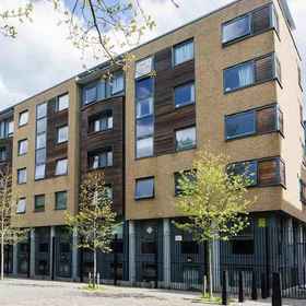 Primary image 1 Student Only Chapter Islington in London, Hotel Bunsik Camden