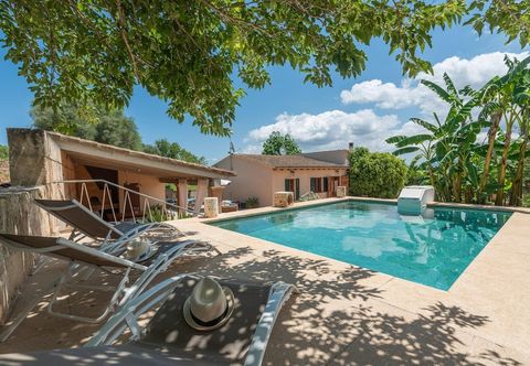 Others Alcudiola in Mallorca