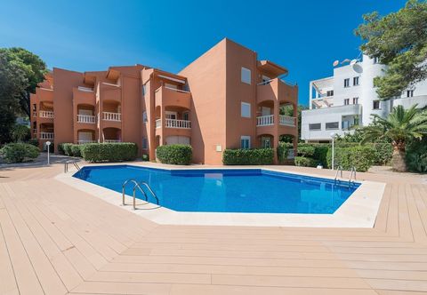 기타 Canyamel Beach Sun