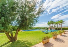 Others 6 Torre Marina Alga Marina