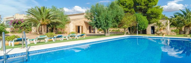 Others Torre Marina Alga Marina