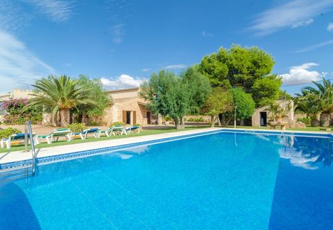 Others Torre Marina Alga Marina