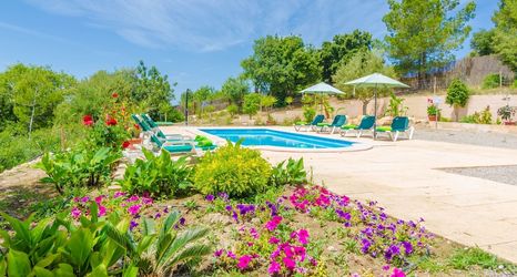 기타 2 Son Morey in Sant Joan