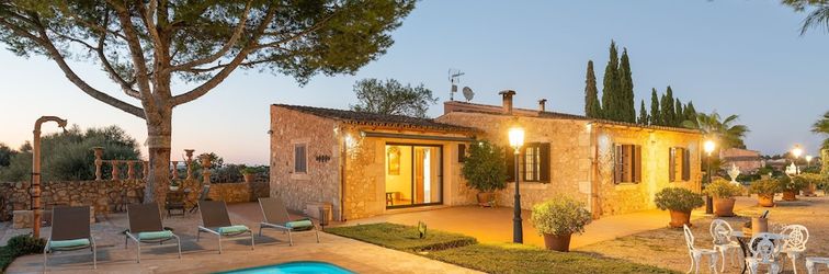 기타 Banc Doli in Manacor