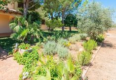 Lainnya 5 Clau De Sol in Santa Margalida