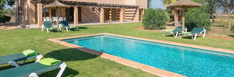 Others Es Regalo P Rgola