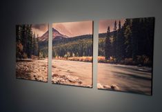 其他 5 Agora Apartments