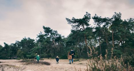 Others 2 Holiday Home Near Biesbosch National Park